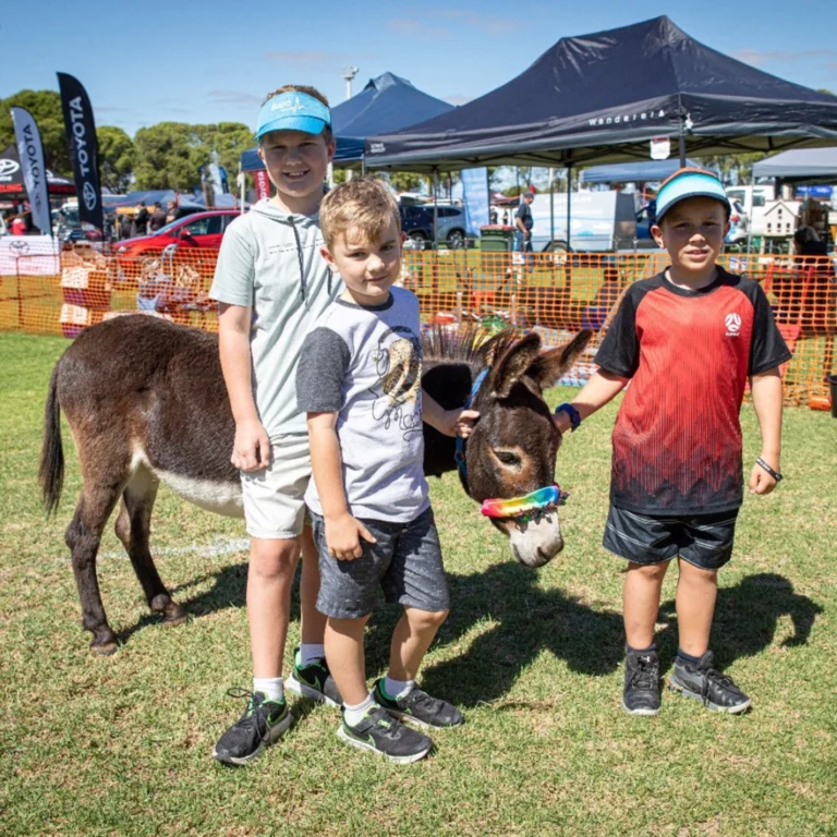 Belgravia Foundation community fundraising event with The FARM