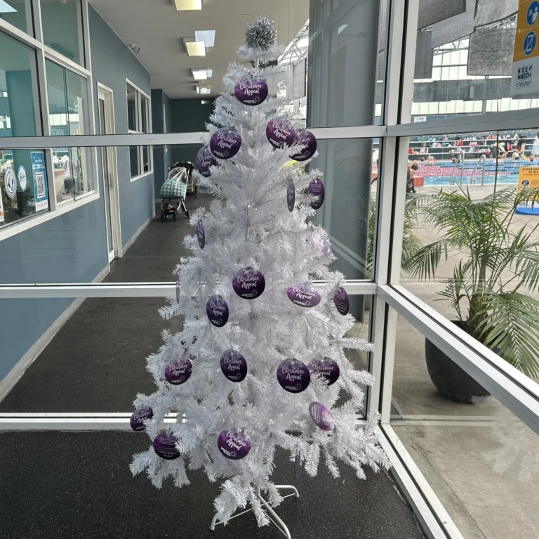 Belgravia Foundation’s Christmas Bauble Appeal 2023